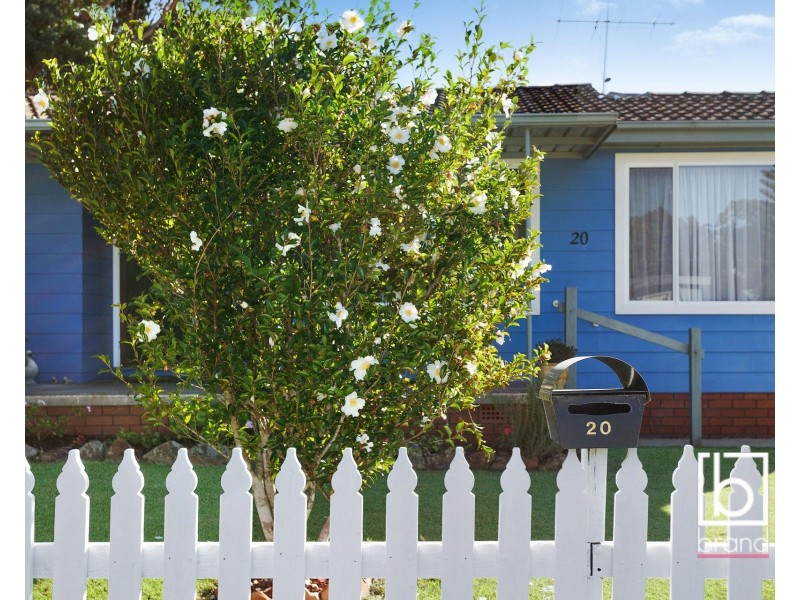 20 Reynolds Road, Noraville NSW 2263