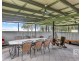 386 Tuggerawong Road, Tuggerawong NSW 2259