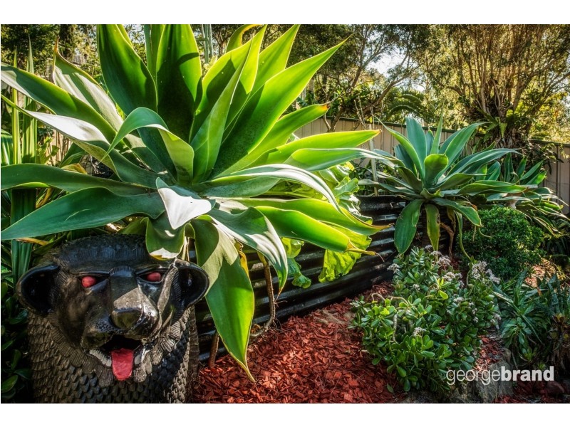 12 Margot Avenue, Gorokan NSW 2263