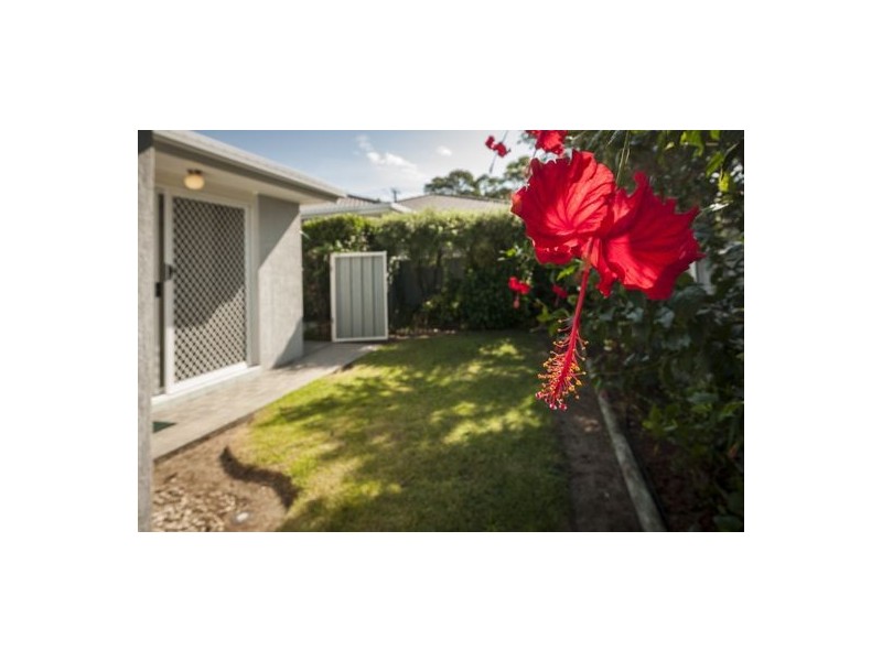 2/3 Wilson Street, Toukley NSW 2263