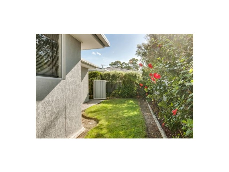 2/3 Wilson Street, Toukley NSW 2263