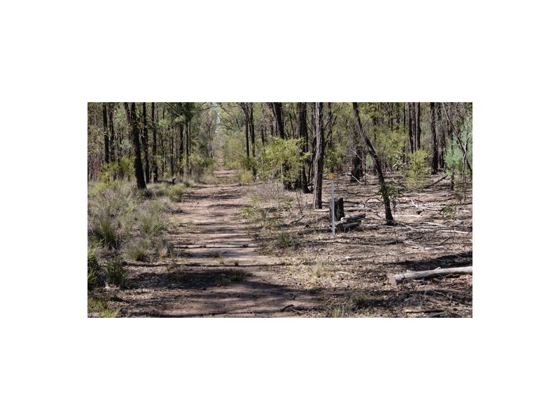 Lot 30 RP 17709 Chinchilla-Tara Road, Tara QLD 4421