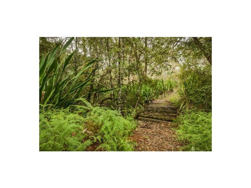 60 Silvesters Road, Somersby NSW 2250