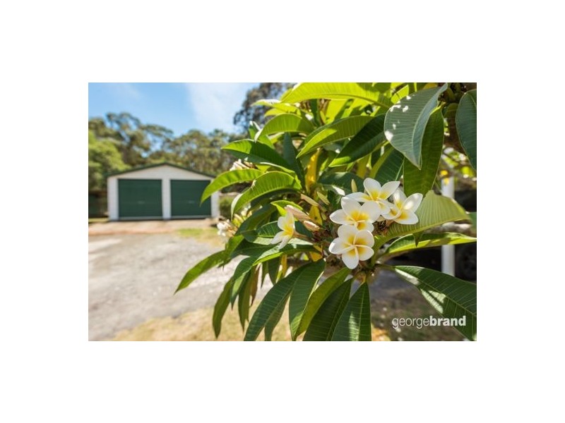 115 Johns Road, Wadalba NSW 2259