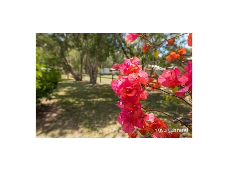 115 Johns Road, Wadalba NSW 2259