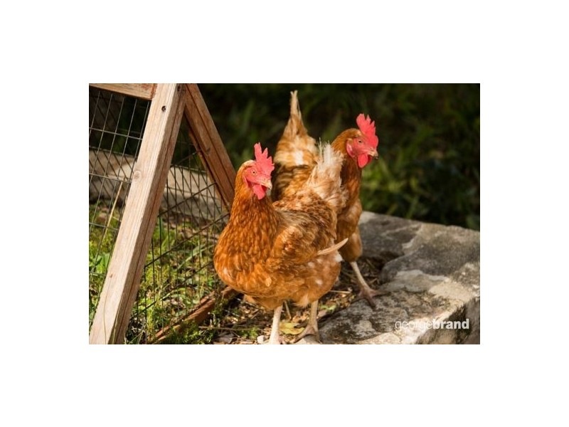 71 Stanley Street, Wyongah NSW 2259