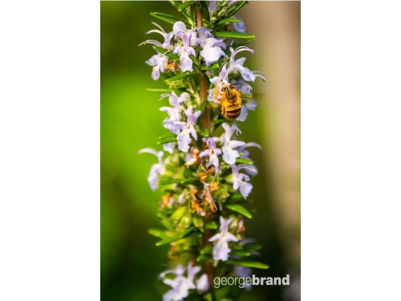 71 Stanley Street, Wyongah NSW 2259