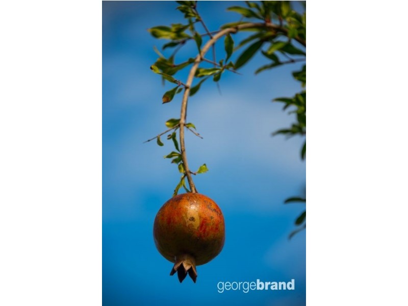 71 Stanley Street, Wyongah NSW 2259