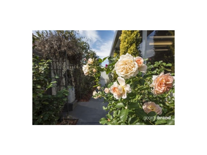 51 Fernhill Avenue, Hamlyn Terrace NSW 2259