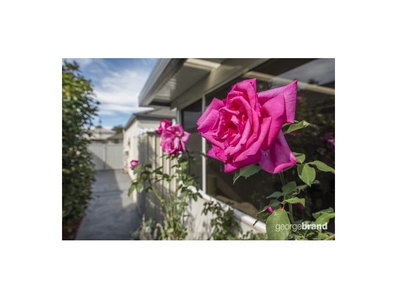 51 Fernhill Avenue, Hamlyn Terrace NSW 2259