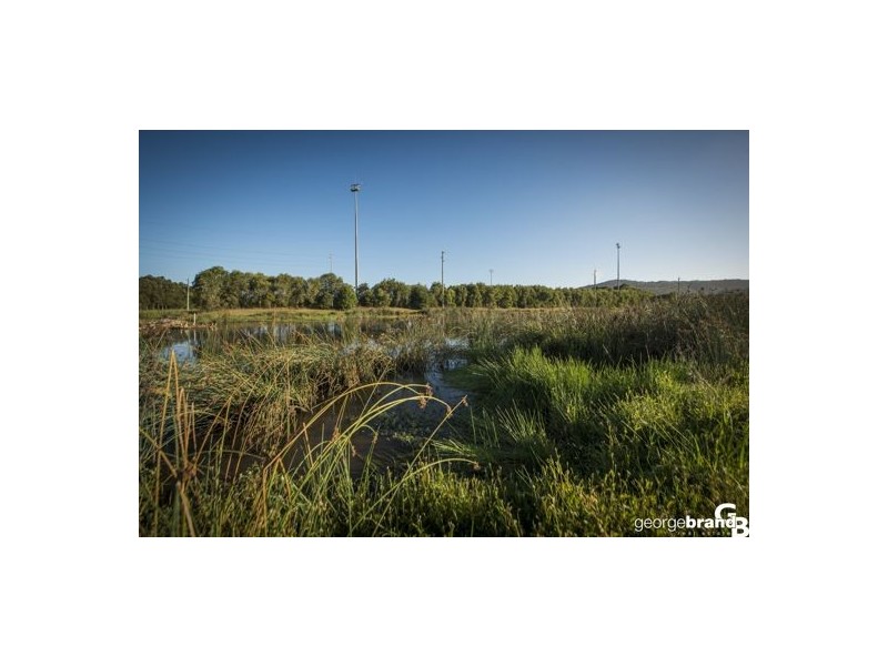 11 Caralee Place, Tumbi Umbi NSW 2261