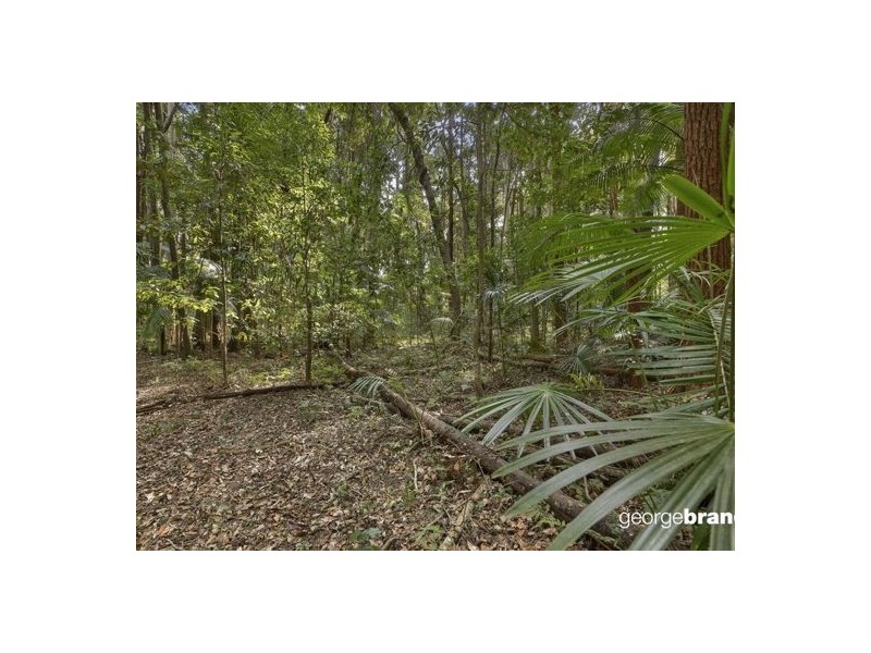 70 Wattle Tree Road, Holgate NSW 2250