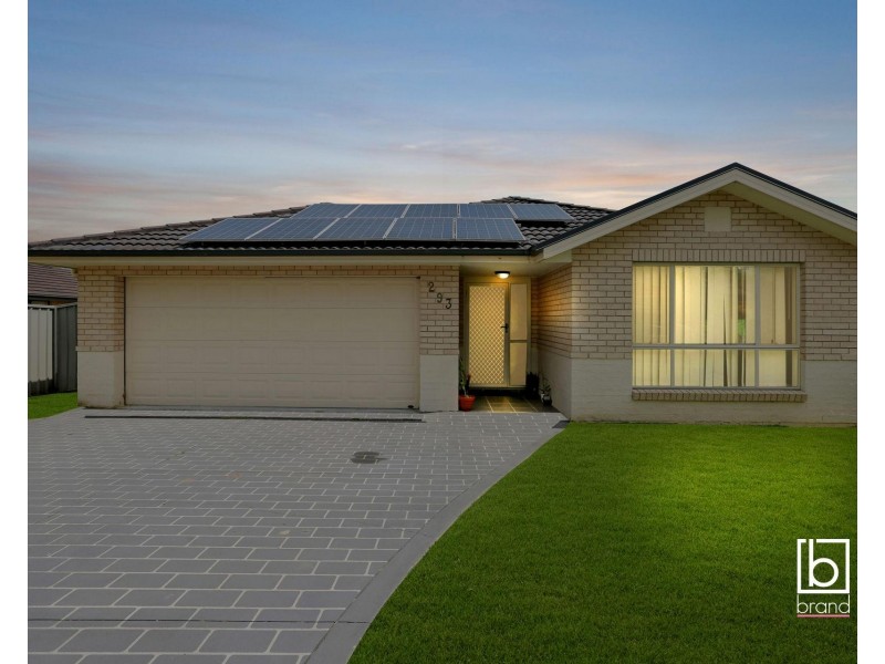 293 Warnervale Road, Hamlyn Terrace NSW 2259