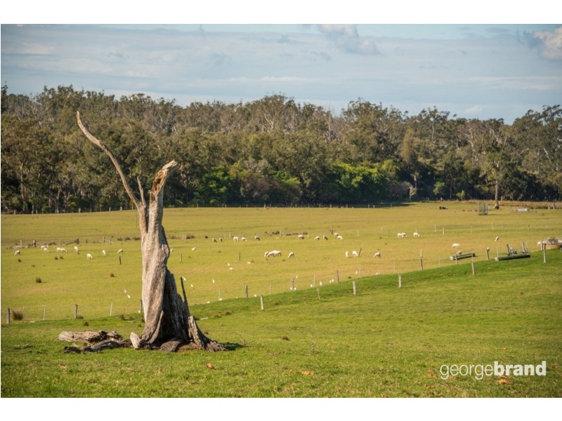 13 Avondale Road, Cooranbong NSW 2265