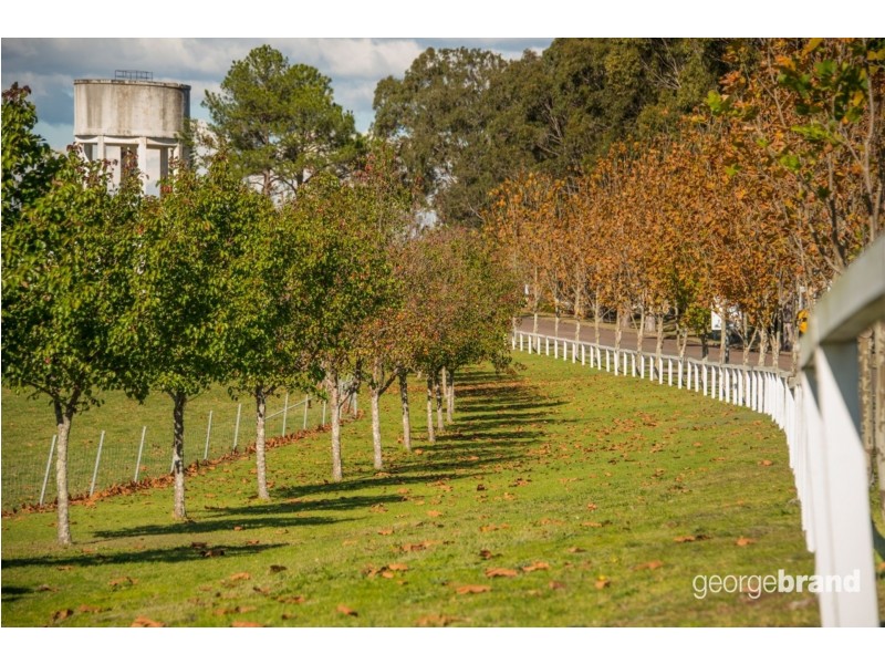 13 Avondale Road, Cooranbong NSW 2265