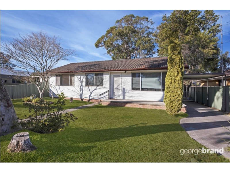 19 Wallis Ave, Canton Beach NSW 2263