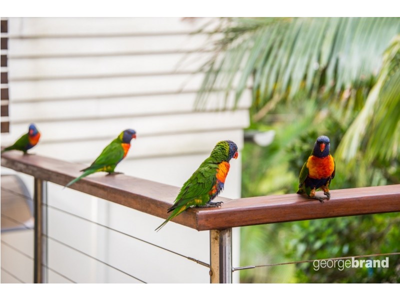 20 Beachcomber Parade, North Avoca NSW 2260