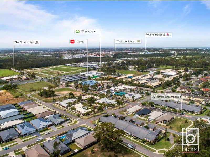 38 Figtree Boulevard, Wadalba NSW 2259