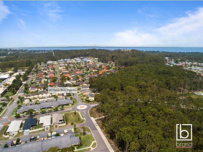 38 Figtree Boulevard, Wadalba NSW 2259