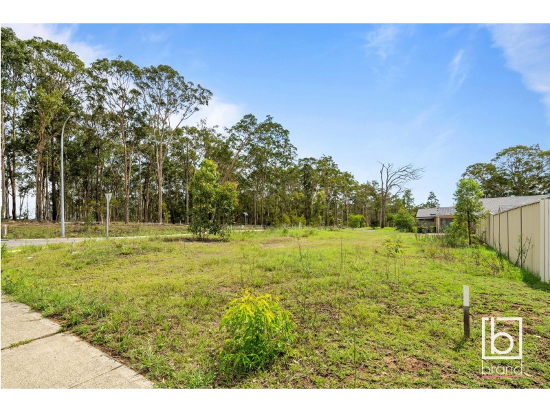 38 Figtree Boulevard, Wadalba NSW 2259