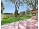 14 McCrea Boulevard, San Remo NSW 2262