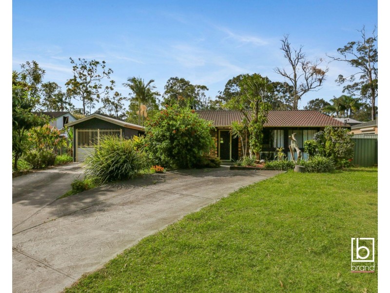 42 Warnervale Road, Warnervale NSW 2259
