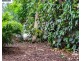 29 Baldwin Boulevard, Windermere Park NSW 2264