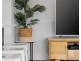 38 Columbus Street, Hamlyn Terrace NSW 2259