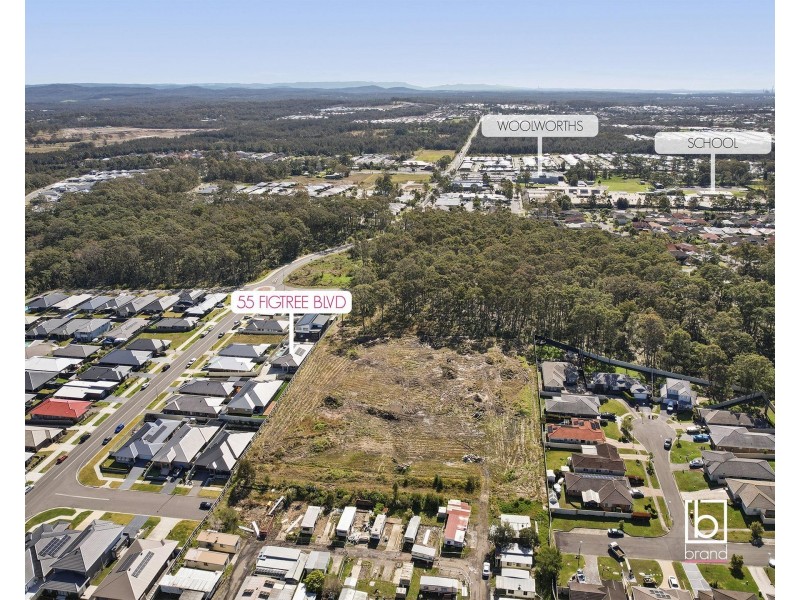 55 Figtree Boulevard, Wadalba NSW 2259