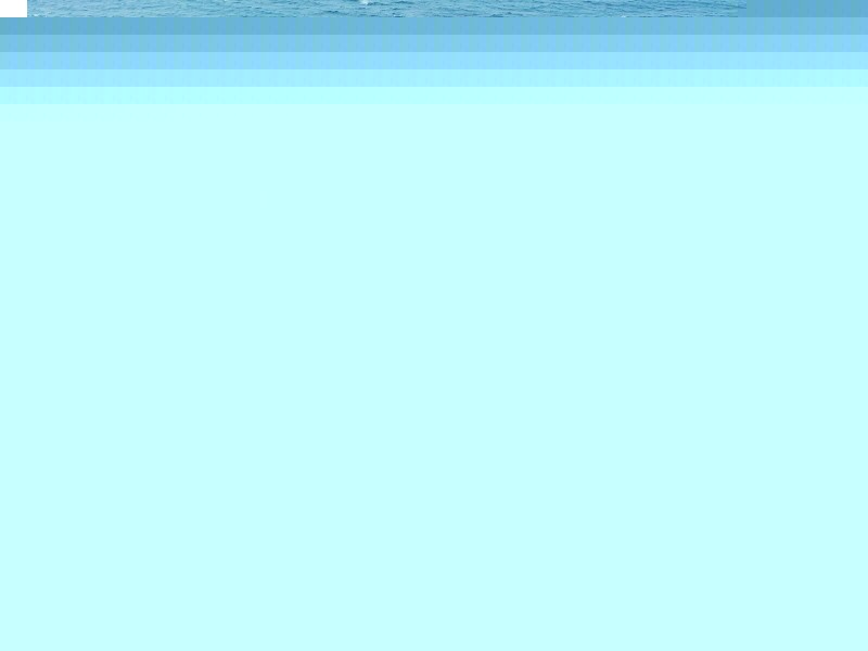 110 Budgewoi Road, Noraville NSW 2263