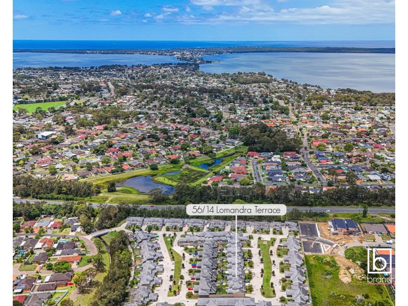 56/14 Lomandra Terrace, Hamlyn Terrace NSW 2259