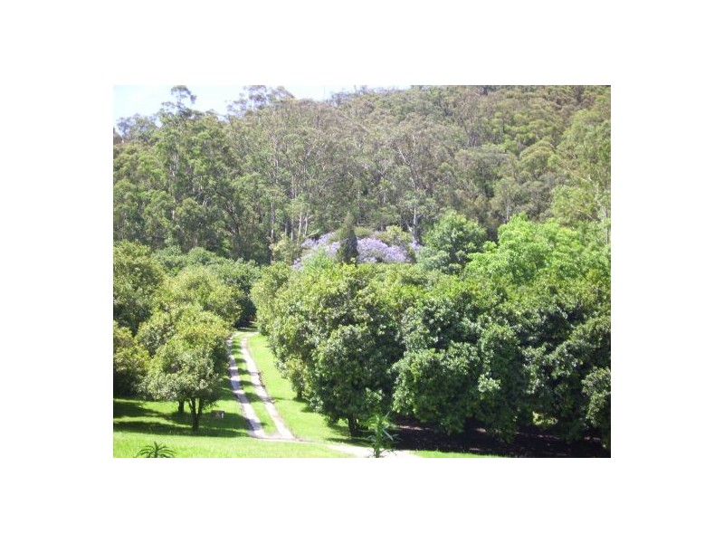 34 Macadamia Lane, Yarramalong NSW 2259