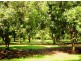 34 Macadamia Lane, Yarramalong NSW 2259