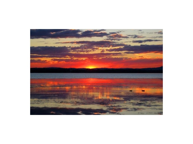 56 Leonard Avenue, Toukley NSW 2263