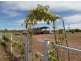 74 Scott Road, Batchelor NT 0845