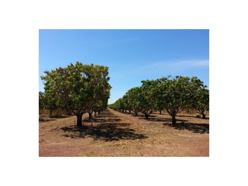 85 Marrakai Road, Marrakai NT 0822