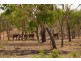 237 Strickland Road, Adelaide River NT 0846