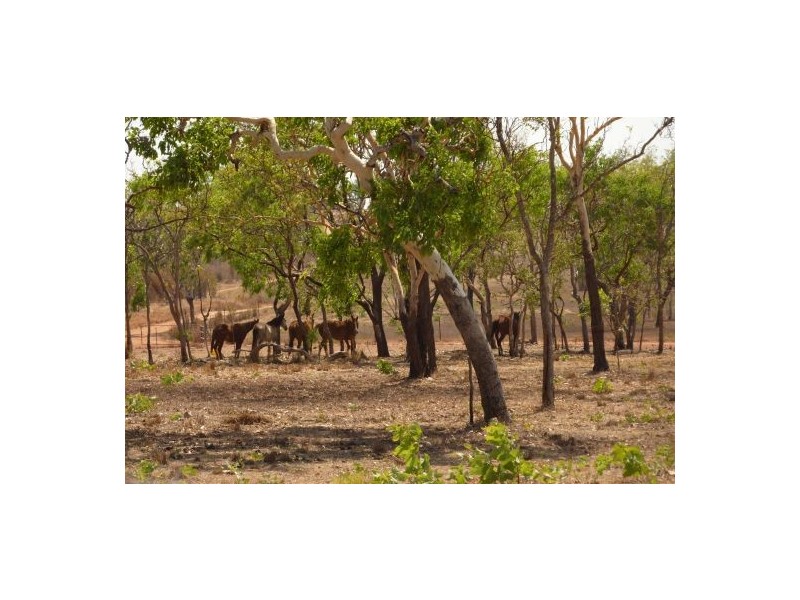 237 Strickland Road, Adelaide River NT 0846