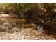 237 Strickland Road, Adelaide River NT 0846