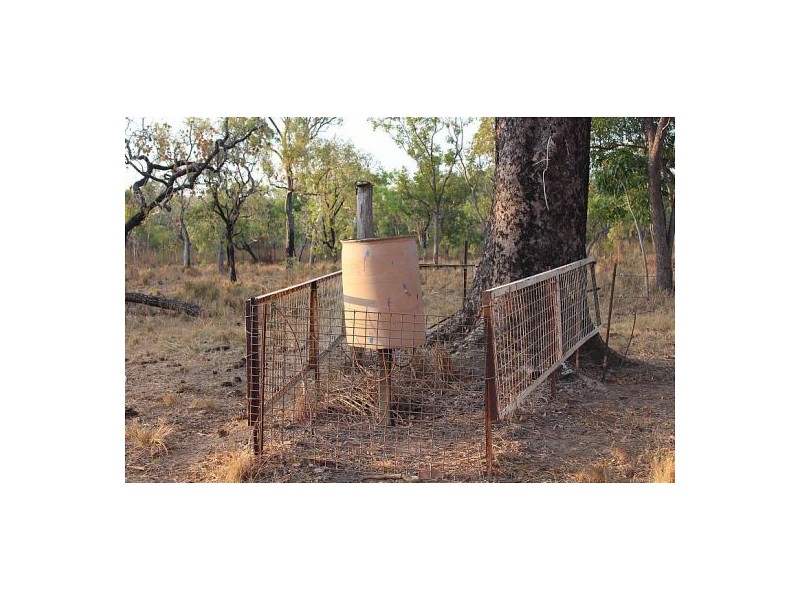 385 Batchelor Rd, Batchelor NT 0845