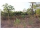 385 Batchelor Rd, Batchelor NT 0845