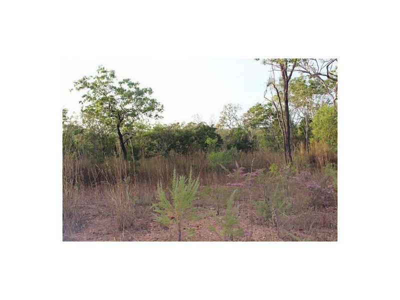 385 Batchelor Rd, Batchelor NT 0845