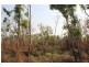 185 Hardcastle Road, Dundee Downs NT 0840