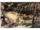 340 Girraween Road, Mcminns Lagoon NT 0822