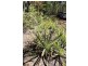 340 Girraween Road, Mcminns Lagoon NT 0822
