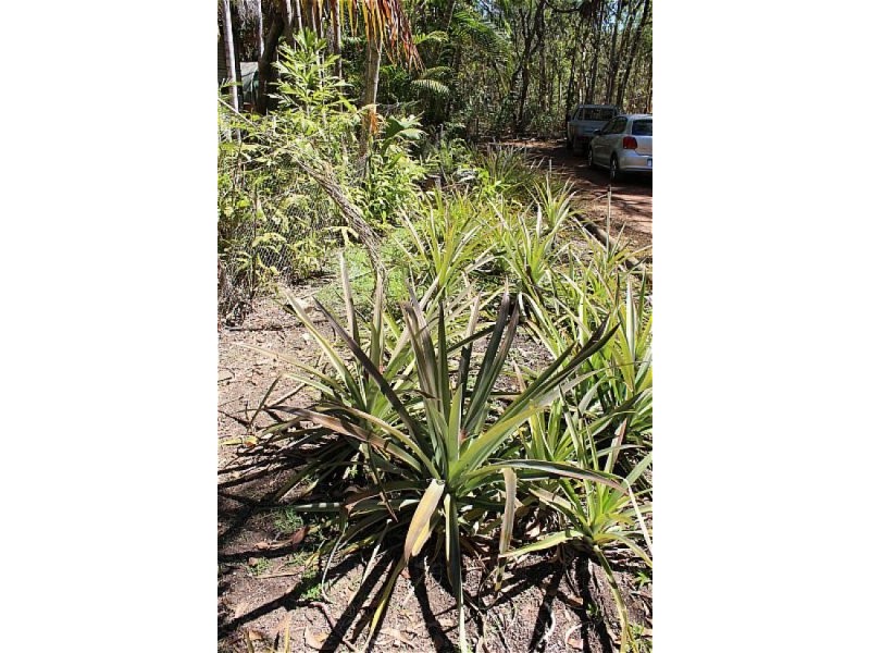 340 Girraween Road, Mcminns Lagoon NT 0822