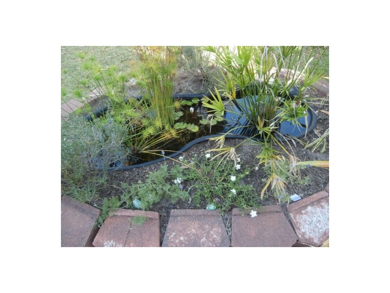 12 Muckaninnie Court, Moulden NT 0830