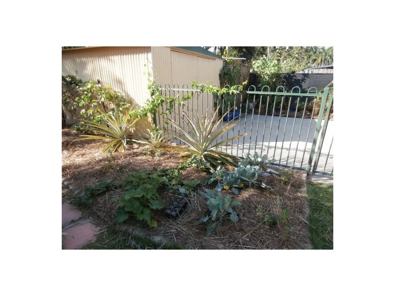 12 Muckaninnie Court, Moulden NT 0830