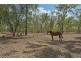 15 Kennedy Road, Humpty Doo NT 0836