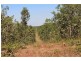 565 Marrakai Road, Marrakai NT 0822